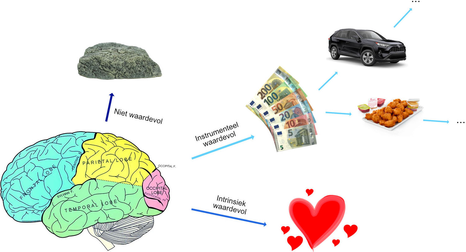 Intrinsic value driven choice
